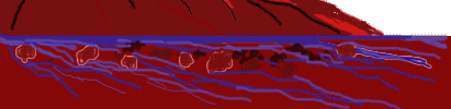 The Martian 
Riverbed